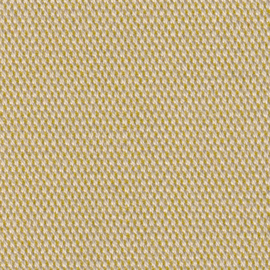 204